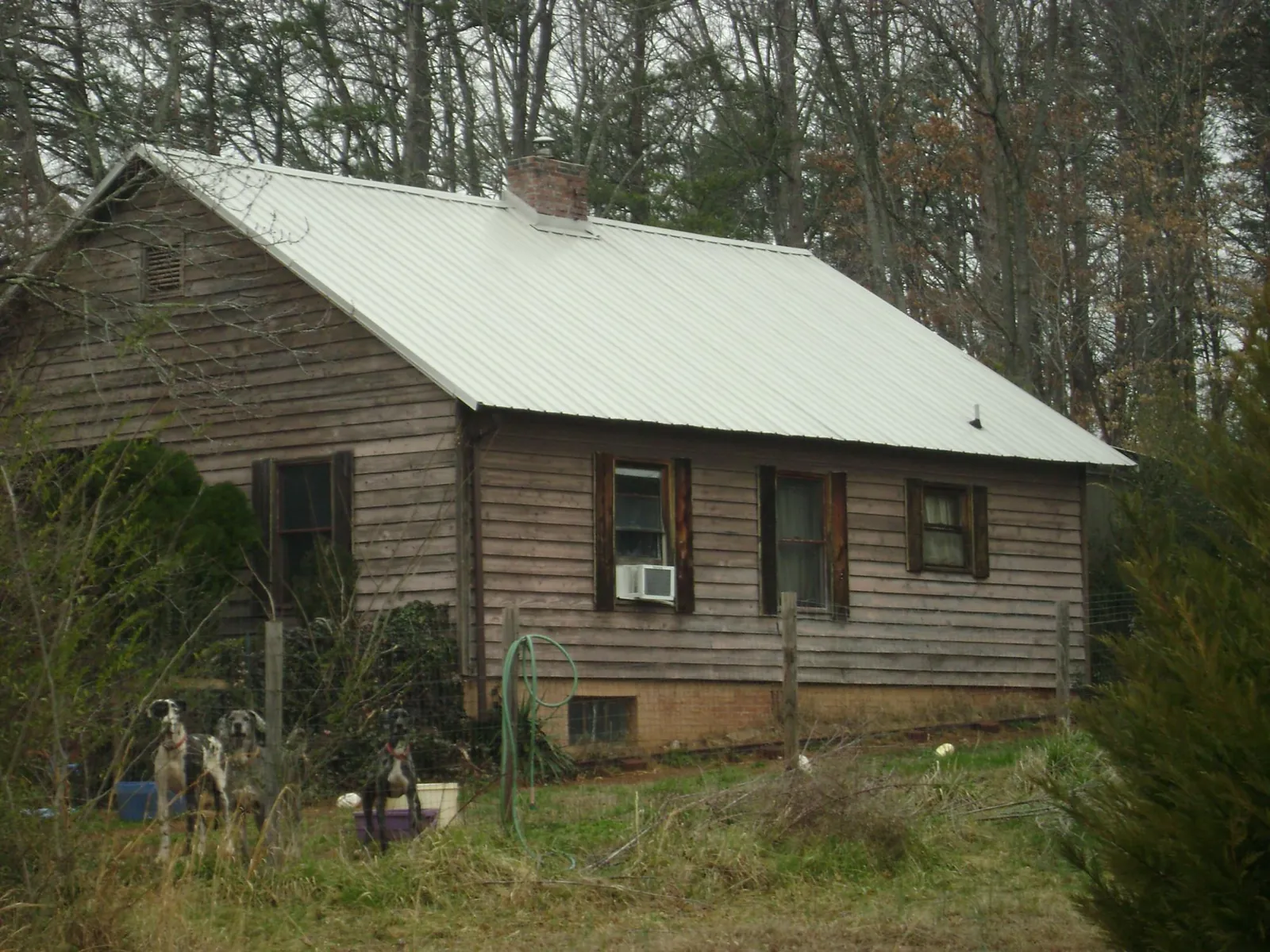 White metal roof on an old wood sided farmhouse, from a Asphalt Shingle Roof Repair job in Garden City